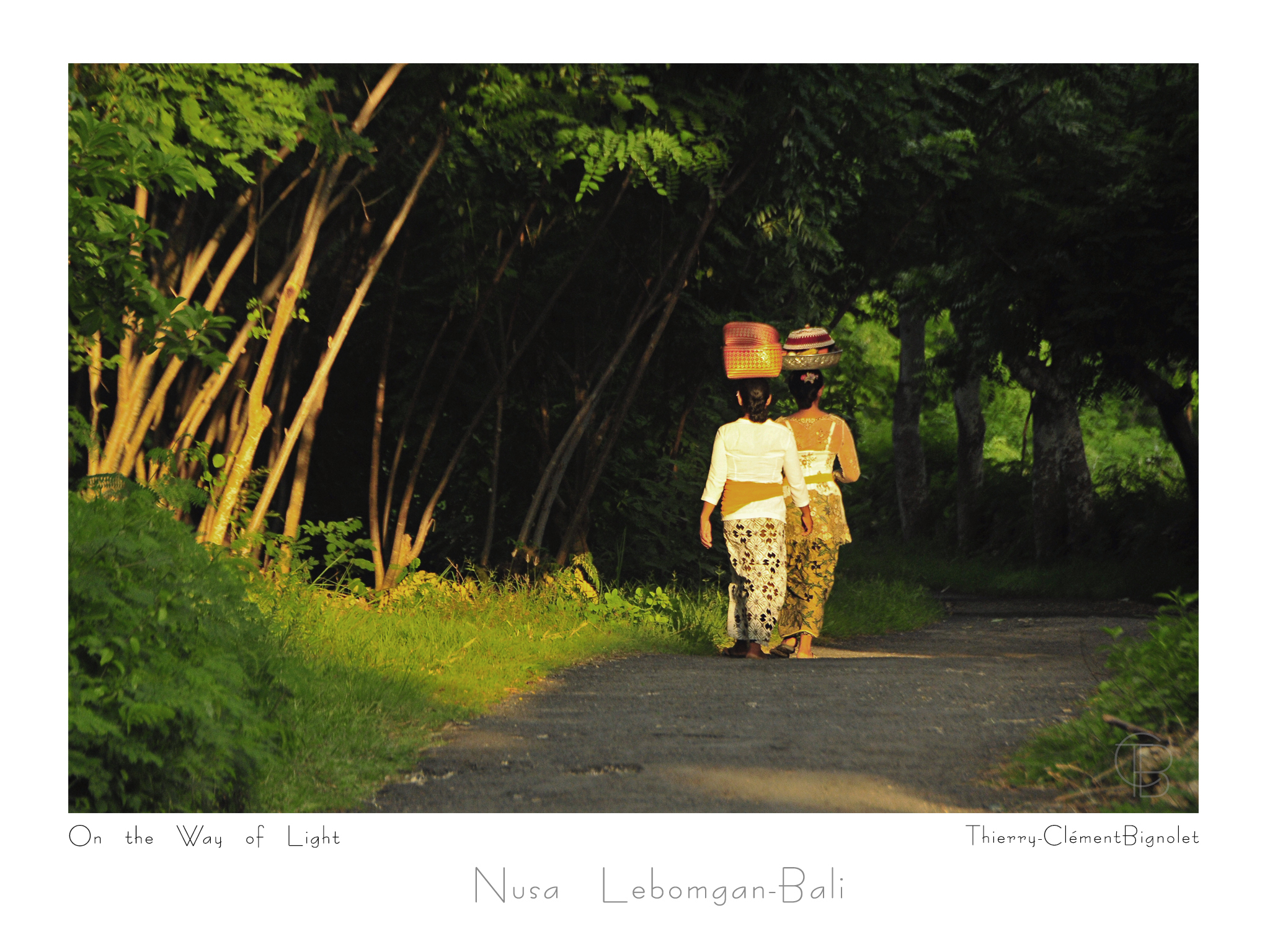 On the Way of Light 20481